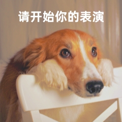 2026届热门美国院校ED录取数据大放送!你适合ED吗?(图1) 2026届热门美国院校ED录取数据大放送!你适合ED吗?(图1)